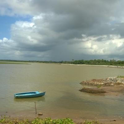 River View In The Afternoon